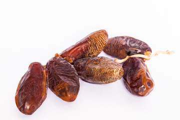 Dates on white background.