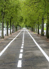 Vercelli, cycling lane