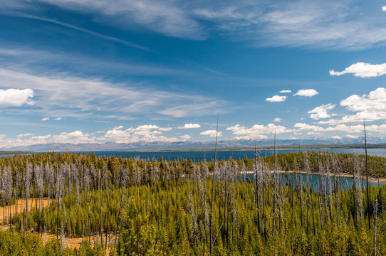 Landscape in Yellowstone NP.