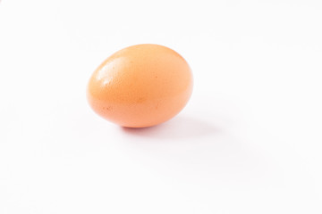 egg.