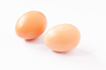 egg.