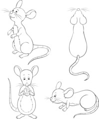 Mäuse Ratten Set Sammlung Kollektion