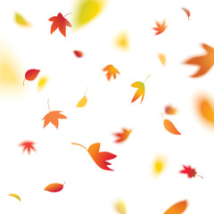 Obraz premium autumn leaves falling, vector illustration