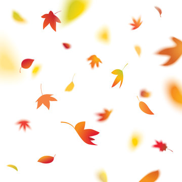 Autumn Leaves Falling, Vector Illustration