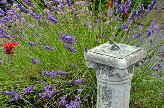 Fototapeta Sundial in summer garden