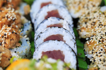 Fresh sushi close up