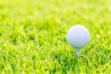 Golf ball on green grass