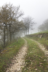 Obraz premium Engins trecking, park of Vercors, department of Isere, France