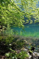 Fototapeta premium Lac de Bethmale, Couserans, Ariège