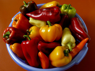 home grown sweet peppers in plastic bowl