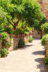 The entrance to the house in flowers and vegetation in Pienza, T