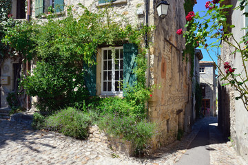 Fototapeta na wymiar Vaison la Romaine, Provence