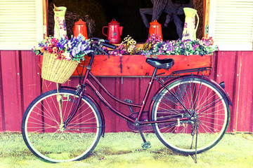 Fototapeta na wymiar vintage bicycle with flower