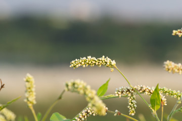 One touch of nature makes the whole world kin