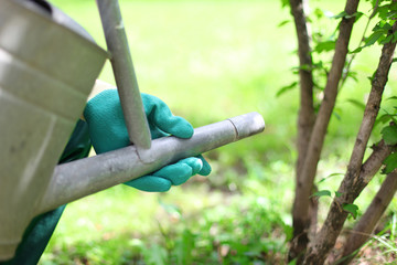 Gie&szlig;kanne im Garten