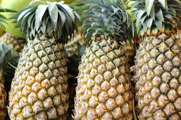 fresh pineapple in the market