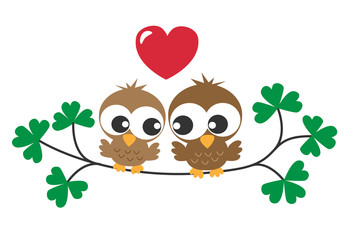 two sweet owls in love