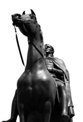 Naklejka premium Bronze sculpture of a horse as background