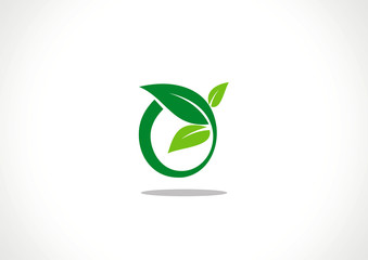Fototapeta premium Vector natural symbols with leaf