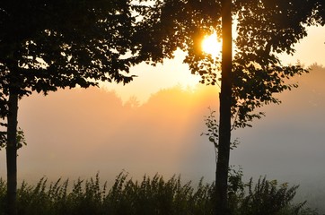 Foggy Sun 1