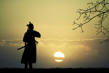 Samurai silhouette at sunset