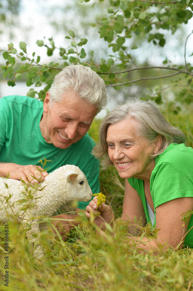 Wall mural Couple with toy sheep