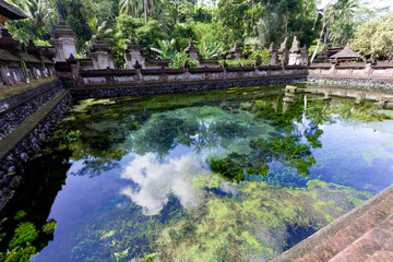 Fototapeta na wymiar Holy Spring Water Temple,Bali