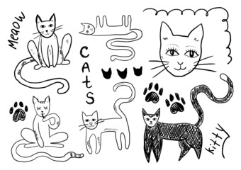 Cats doodles