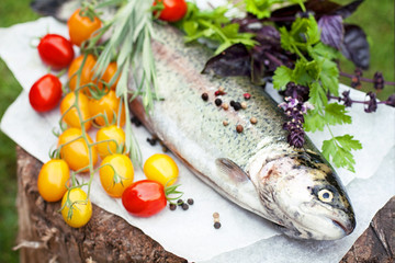 Fresh trout with tomato cherry