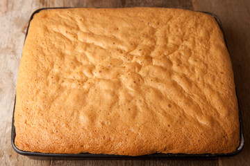 cake sponge in the baking tray