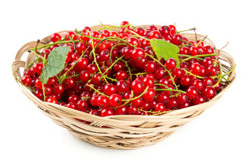 red currant berries in a basket