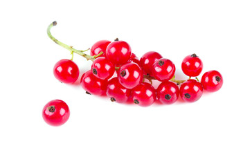 Obraz na płótnie Canvas red currant berries
