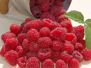 Himbeeren