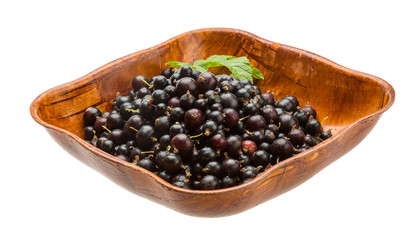 Black currant