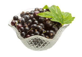 Black currant