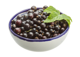 Black currant