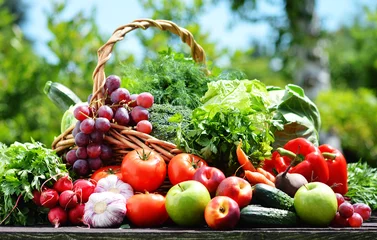 Foto op Aluminium Variety of fresh organic vegetables in the garden © monticellllo
