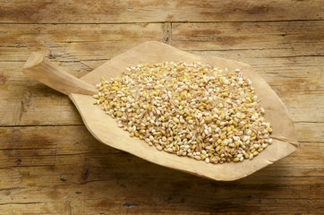 Wheat spelled barley rice y oats மிலன் எக்ஸ்போ 2015