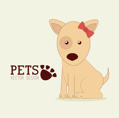 Pets design