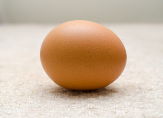 chicken egg isolated on white background