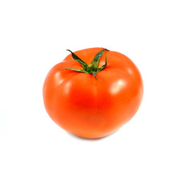 tomato on white background