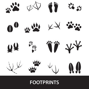 basic animal footprints set eps10