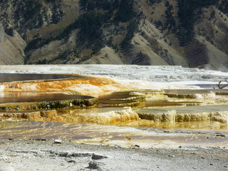 Yellowstone Park - Mammoth Hot Springs