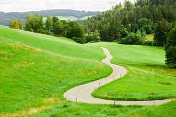 winding country road between green fields in the mountains - 68985010