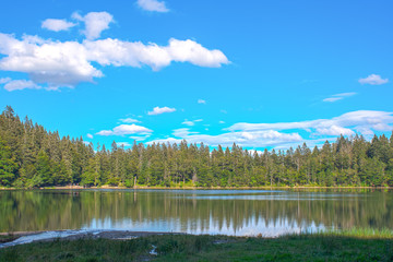 Obraz premium Panorama view over lake pine tree clouds black forest Germany