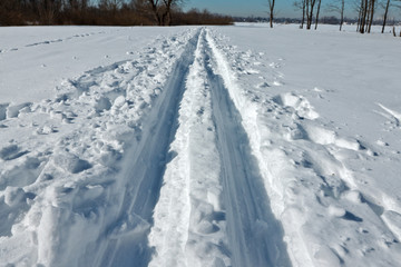 Ski trail in a forest in a frosty sunny afternoon