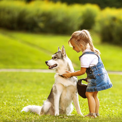 little girl in the park their home with a dog Husky