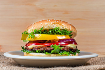 homemade hamburger with fresh vegetables, close up