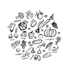 Vegetable sketch frame for your design