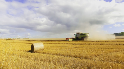 Fototapeta premium harvest